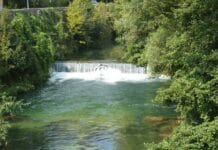 Distinguishing feature